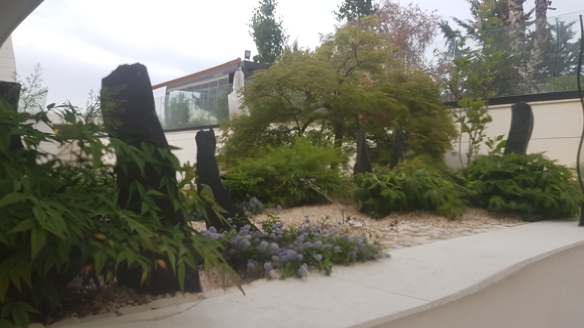 Jardineros en Madrid