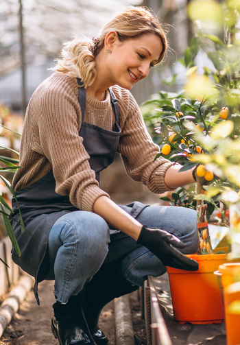 Empresa de jardineria en Madrid